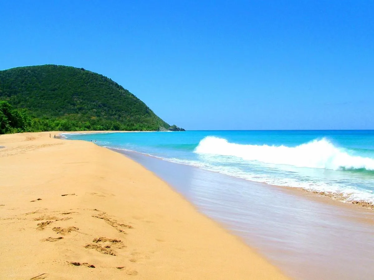 Mabouya Ecolodges Deshaies Guadeloupe