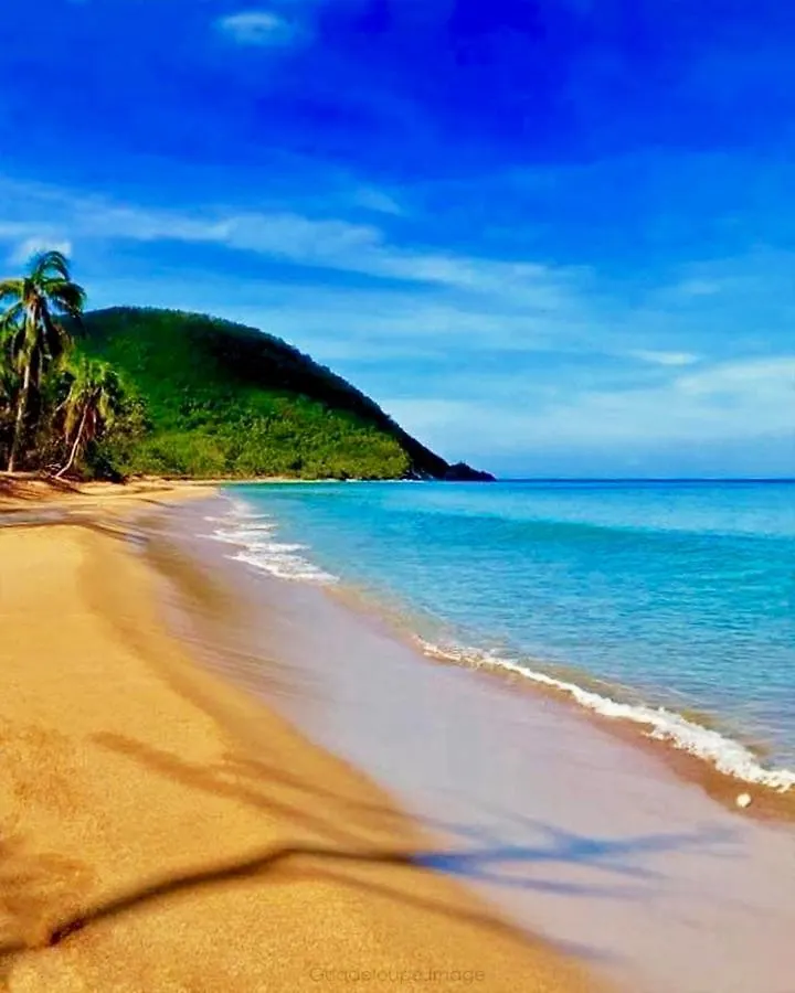 Mabouya Ecolodges Deshaies Guadeloupe